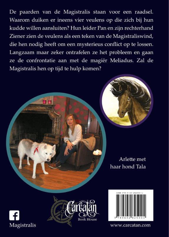 Achterkant van De kudde van de Magistralis