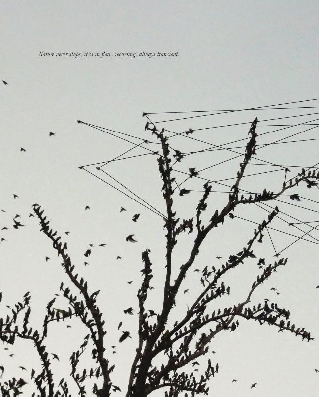 Achterkant van Rody Luton. Time Encircled