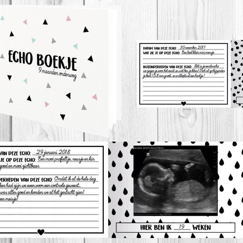 Achterkant van Echo boekje