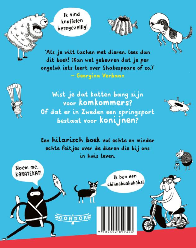 Achterkant van Een haai als huisdier?!