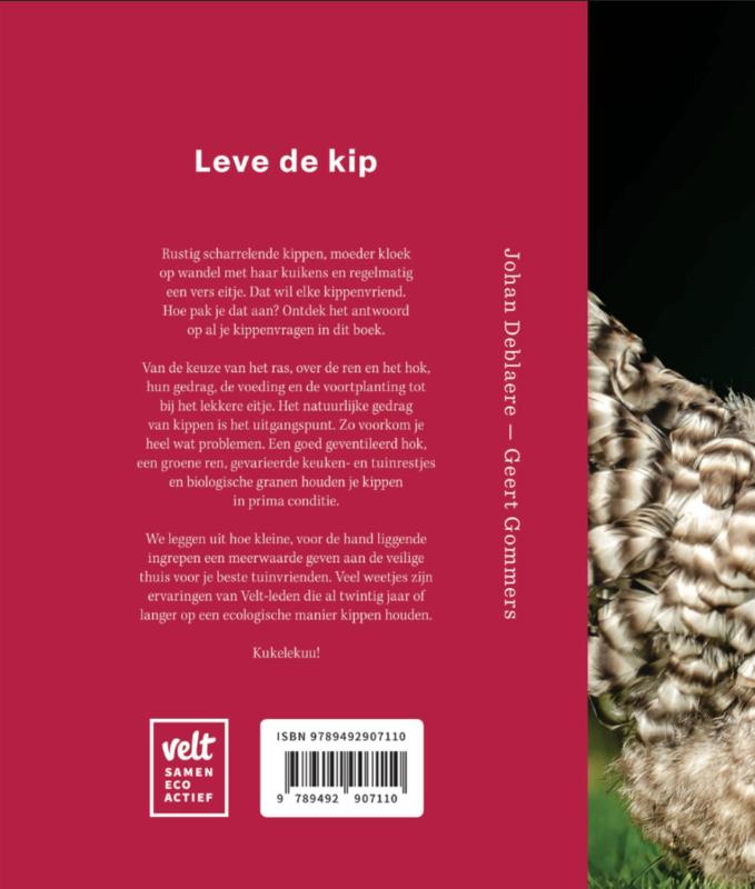 Achterkant van Kippen in de tuin