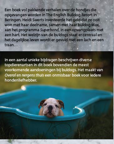 Achterkant van Overal en nergens thuis