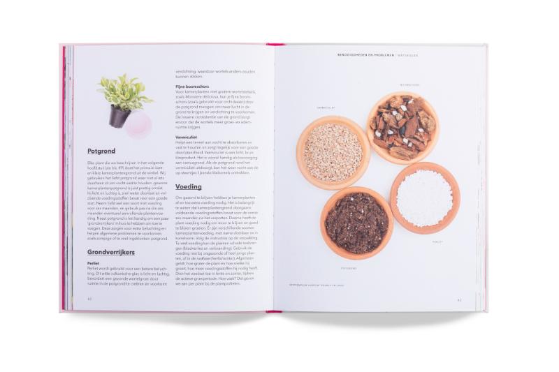 Achterkant van Hoe je een plant grootbrengt