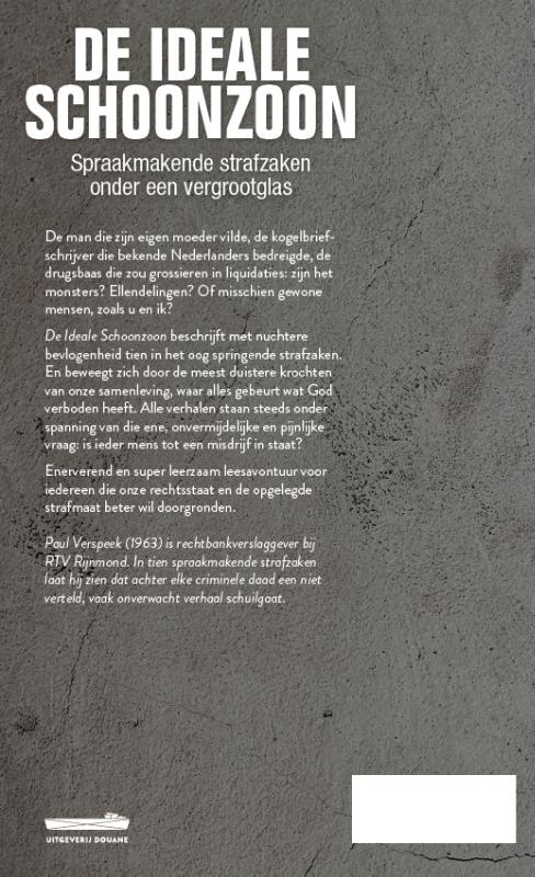 Achterkant van De Ideale Schoonzoon