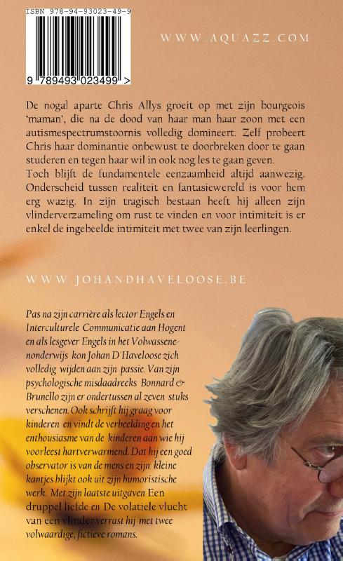 Achterkant van De Volatiele Vlucht van de Vlinder