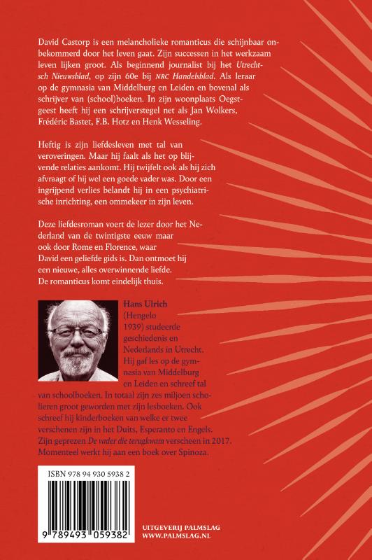 Achterkant van Het woelige leven van David Castorp