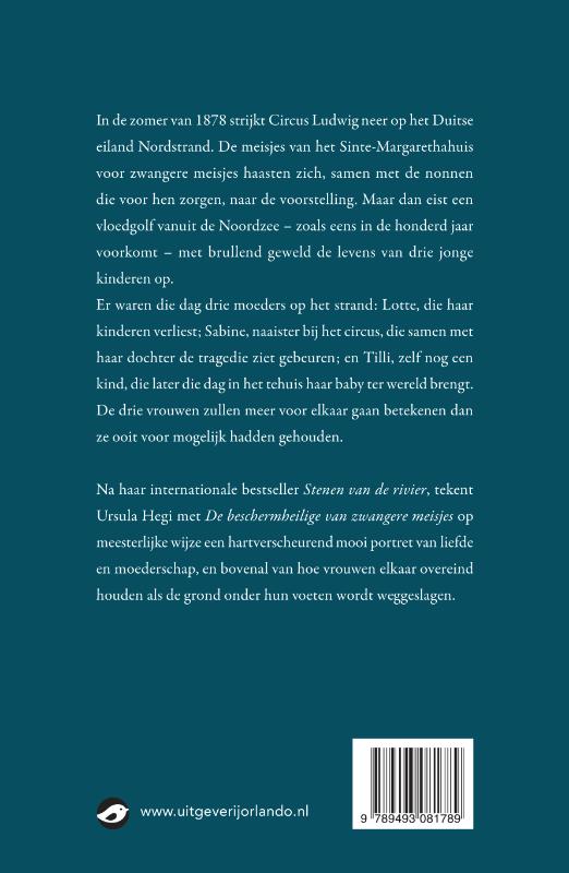 Achterkant van De beschermheilige van zwangere meisjes