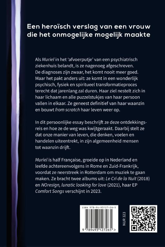 Achterkant van Getuigenis van een gek