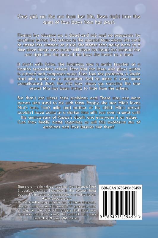 Achterkant van Scarred Cliff Collection 1
