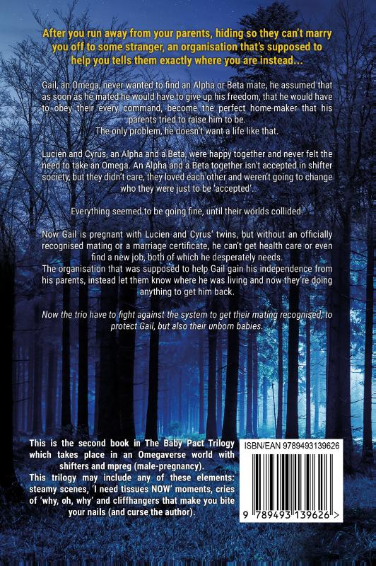 Achterkant van The Wedding Pact