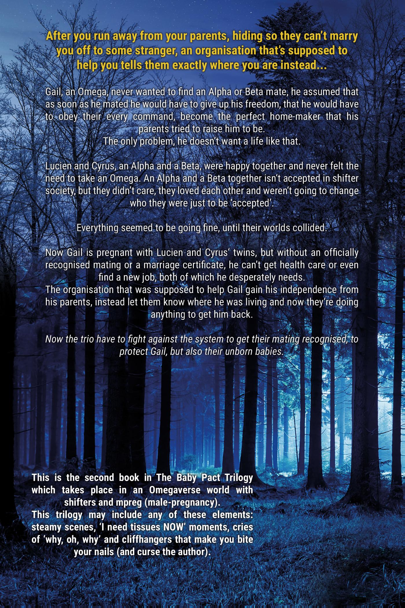 Achterkant van The Wedding Pact