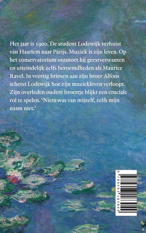 Achterkant van Het verloren kind