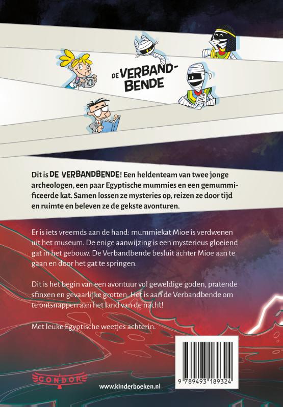 Achterkant van De verbandbende in het land van de nacht