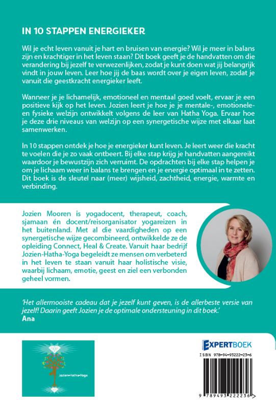 Achterkant van In 10 stappen energieker