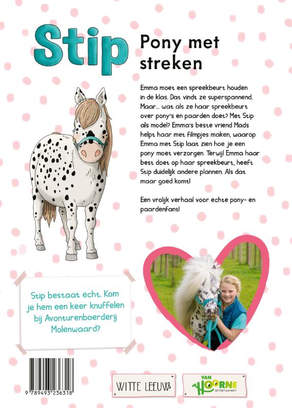 Achterkant van Pony met streken