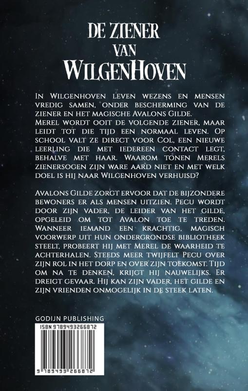 Achterkant van De Ziener van Wilgenhoven