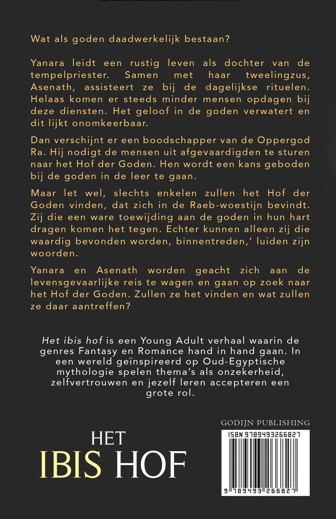 Achterkant van Het ibis hof