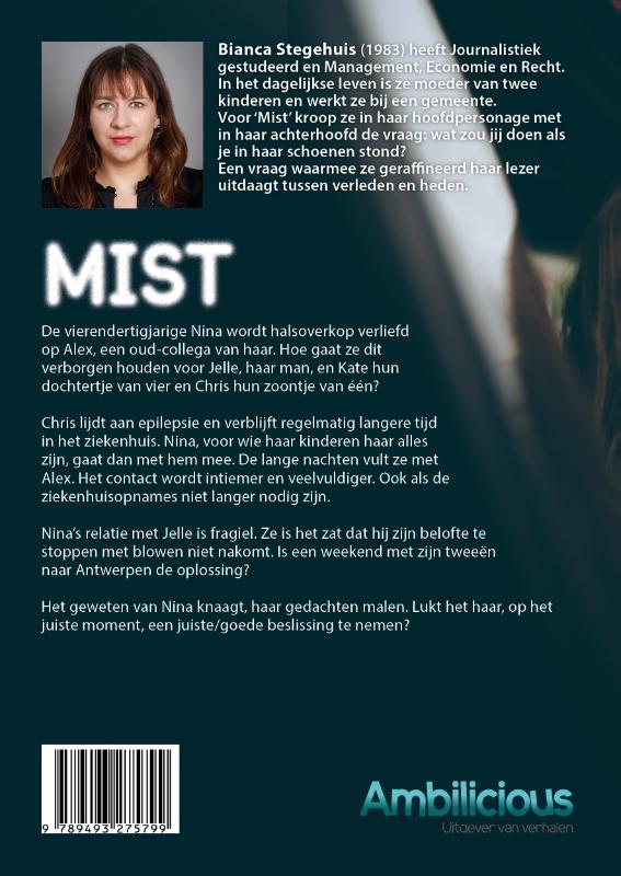 Achterkant van Mist