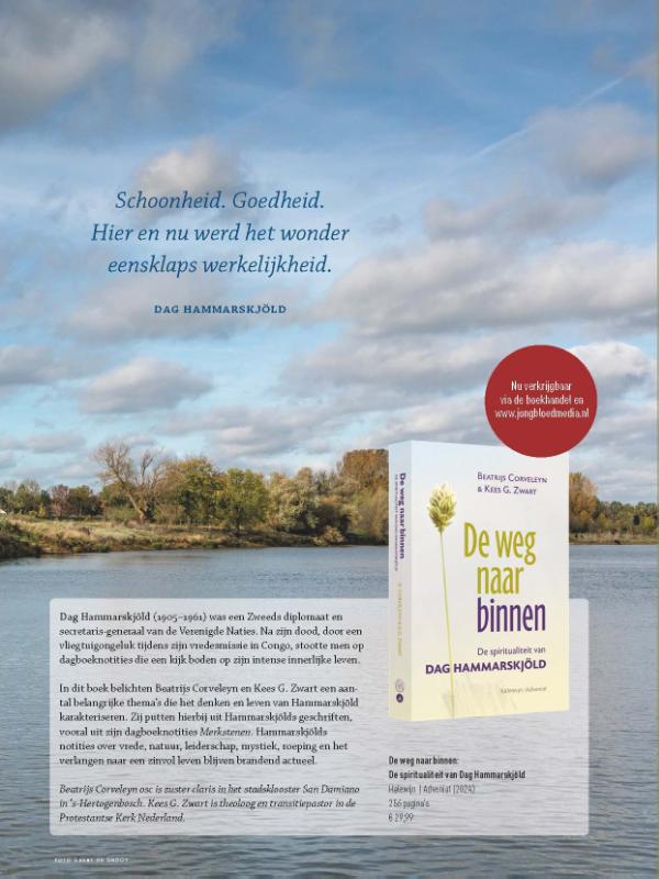 Achterkant van Schoonheid