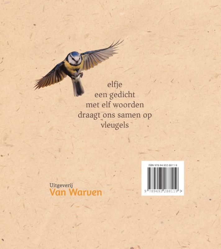 Achterkant van Elfjes