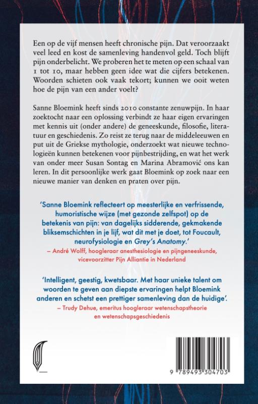 Achterkant van Pijn. Expeditie naar onbestemd gebied