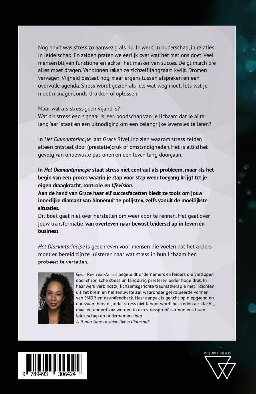 Achterkant van Het Diamantprincipe