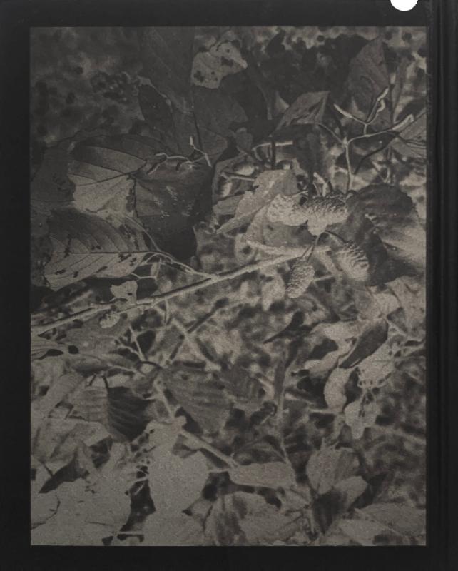 Achterkant van FELWA