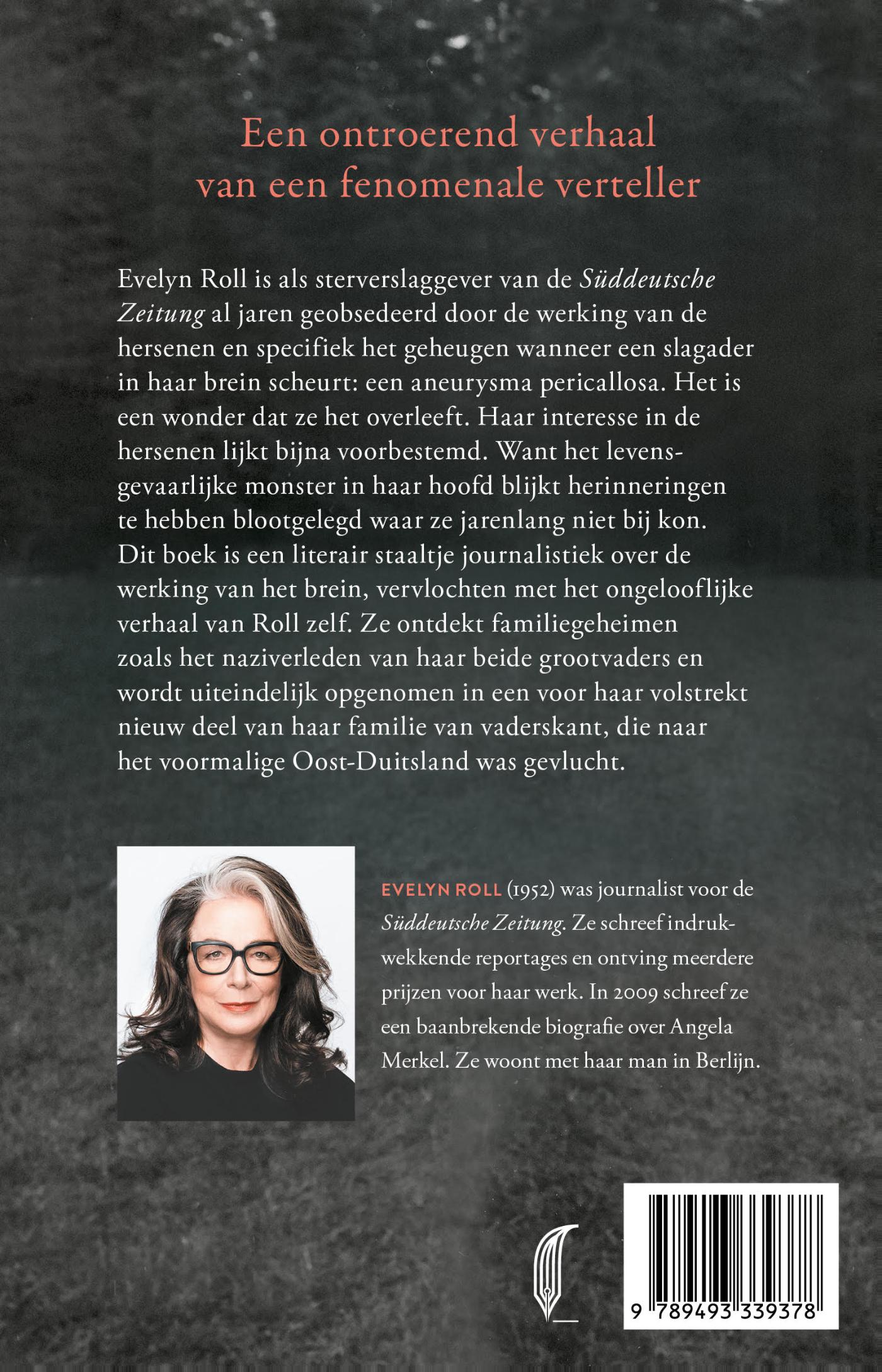 Achterkant van Pericallosa