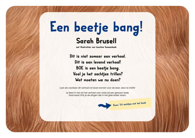 Achterkant van kamishibai vertelplaten + boek