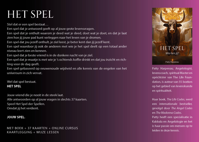 Achterkant van Het Spel