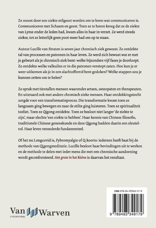 Achterkant van Het grote in het kleine