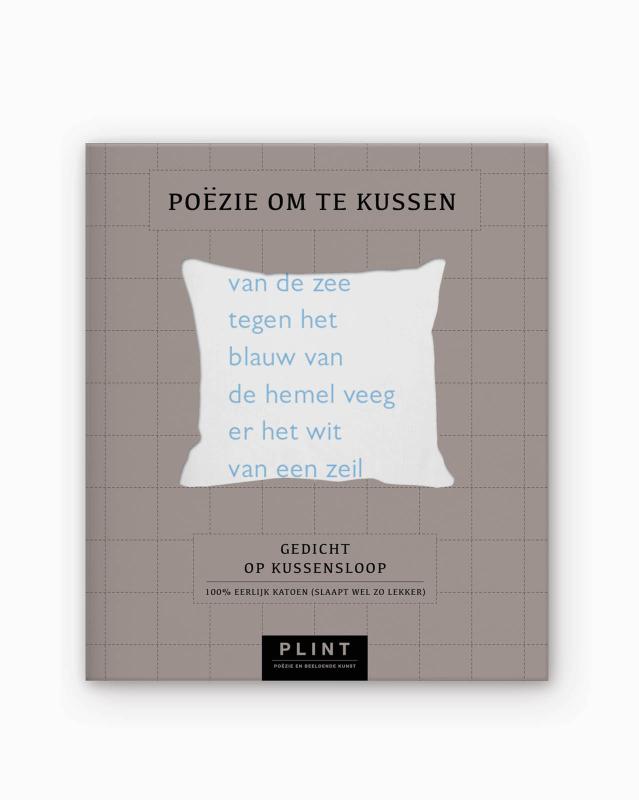 Achterkant van Plint kussensloop 'zet het blauw' Willem Hussem