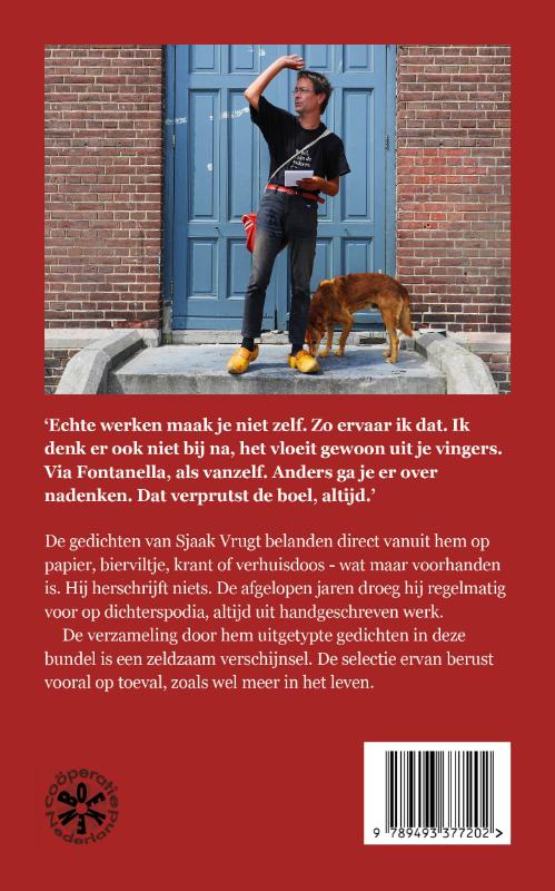 Achterkant van De dag dat ik dacht dat ik doodging