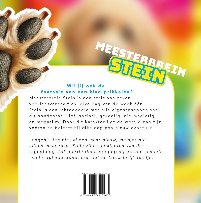 Achterkant van Meesterbrein Stein