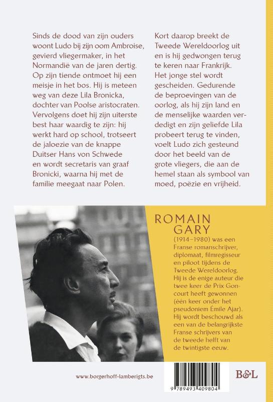 Achterkant van De vliegers