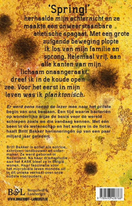 Achterkant van Er werd eens
