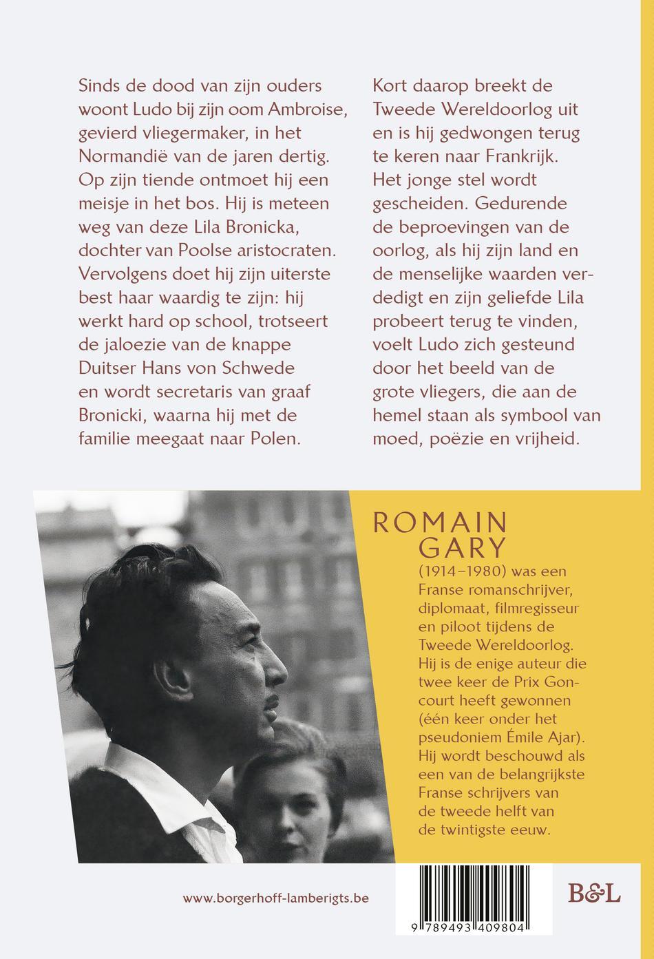 Achterkant van De Vliegers