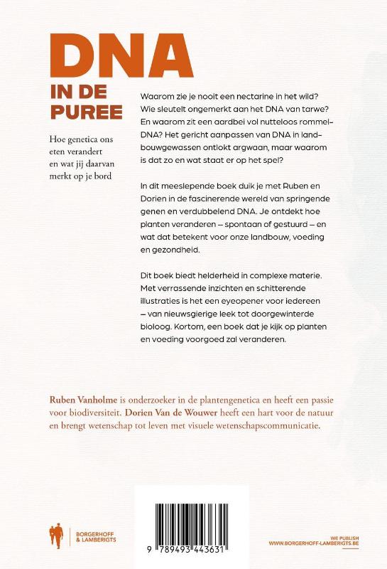 Achterkant van DNA in de puree