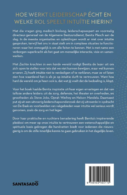 Achterkant van Zachte krachten in een harde wereld