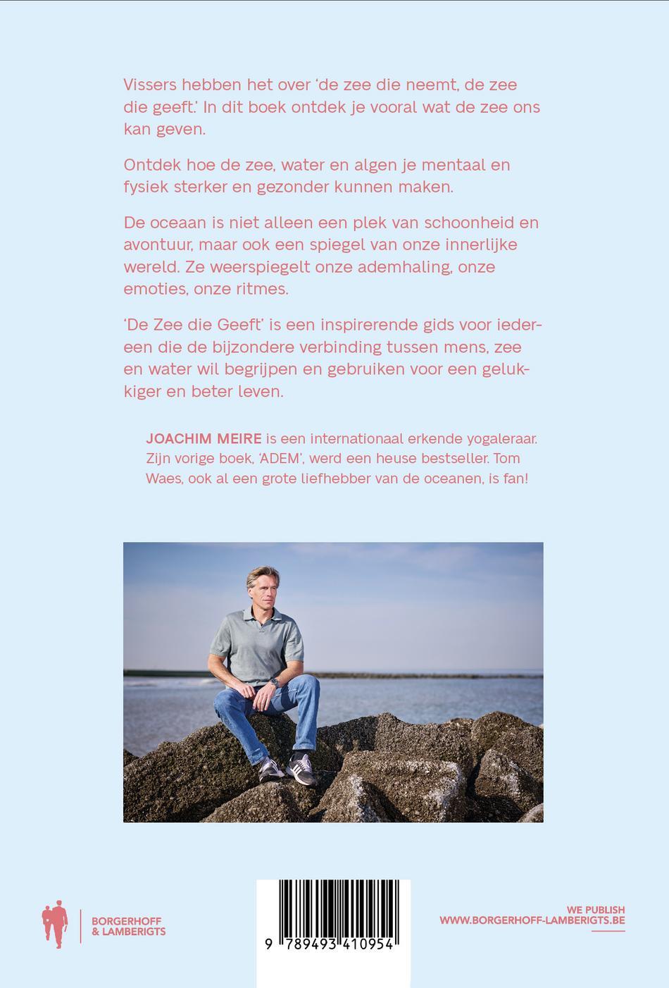 Achterkant van De zee die geeft