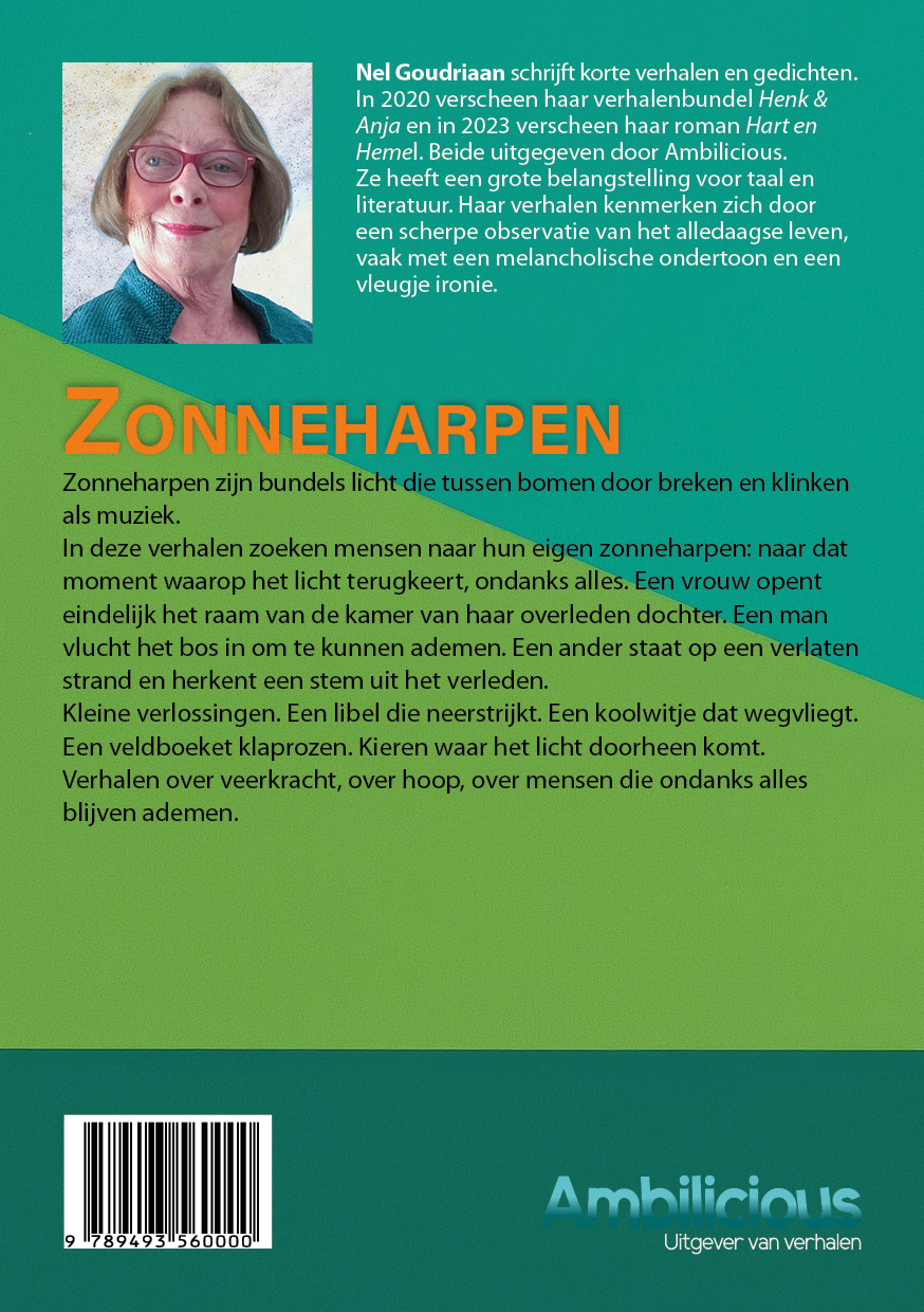 Achterkant van Zonneharpen