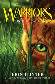 Omslag van Into the Wild