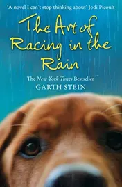 Omslag van The Art of Racing in the Rain