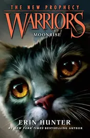 Omslag van Moonrise