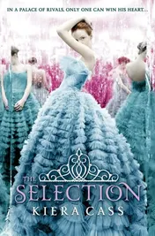 Omslag van The Selection