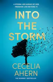Omslag van Into the Storm