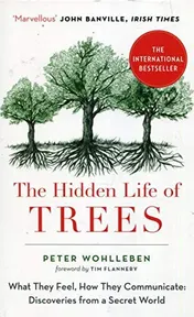 Omslag van The Hidden Life of Trees What They Feel, how They Communicate : Discoveries from a Secret World