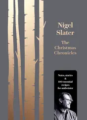 Omslag van The Christmas Chronicles Notes, Stories & 100 Essential Recipes for Midwinter