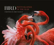 Omslag van Bird Photographer of the Year Collection 3