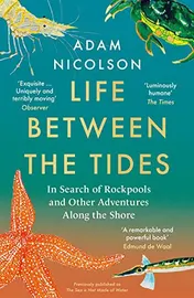 Omslag van Life Between the Tides In Search of Rockpools and Other Adventures Along the Shore